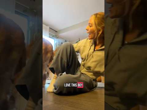 coming home to my golden retriever🥵 goldenretreiver dog ind… サムネイル