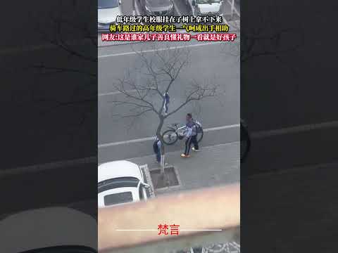 低年級學生校服掛在了樹上拿不下來 騎車路過的高年級學生一氣呵成出手相助 暖心 善良 正能量 kindness hear…