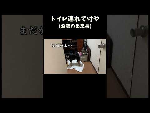 トイレ連れてけや サムネイル