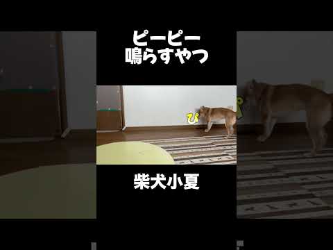 ピーピー鳴らすやつ サムネイル