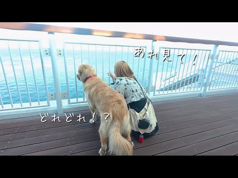 【海ほたるデビュー】犬系彼氏とアクアラインデート👫 サムネイル