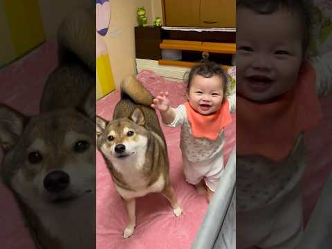 つかまり立ちと踊りを同時に覚えてしまった赤ちゃん サムネイル