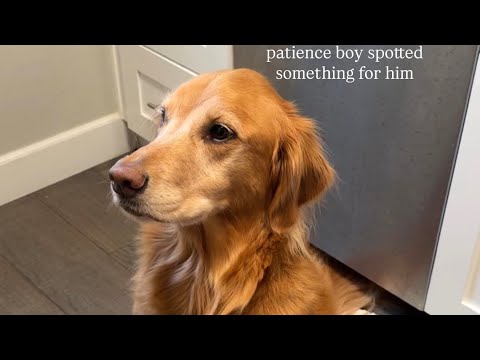 4k Transparent Lingerie & See-throughStyles/Shein 2026 Biki… サムネイル