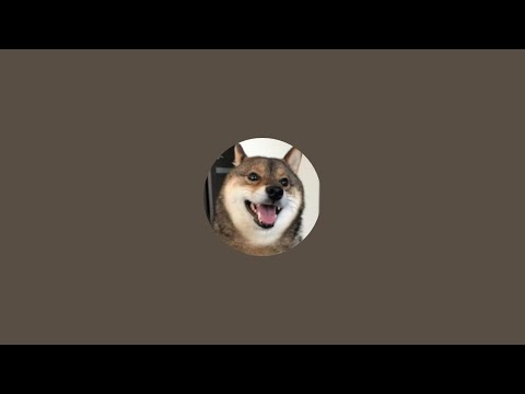 柴犬あずはなの動画