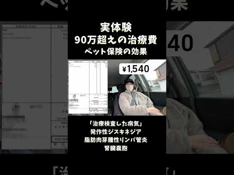 ペット保険の効果 サムネイル