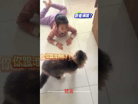 媽媽記錄下自家女兒與貓咪的搞笑一幕 意外 有趣 搞笑 萬萬沒想到 amazing funny laugh shorts サムネイル