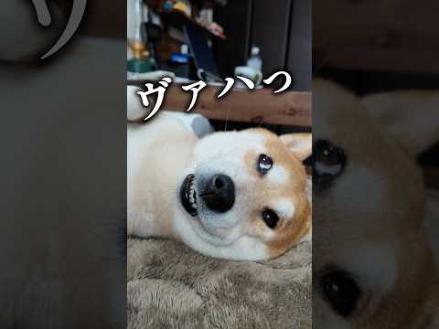 この時期の暑さと睡眠対策 サムネイル