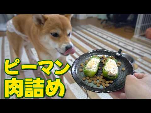 ピーマン肉詰め食べてくれるかな？ASMR サムネイル