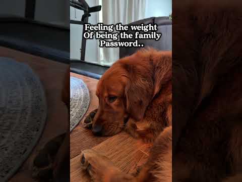 It’s a lot of pressure 😩 サムネイル