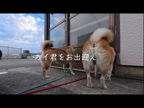 2026年1月15日(木) カイ君ち前で出待ちするモモ家のみなさん サムネイル