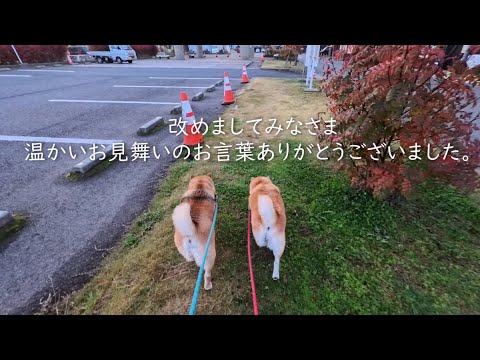 MSモモさん改の性能向上報告とみなさまへのお礼 サムネイル