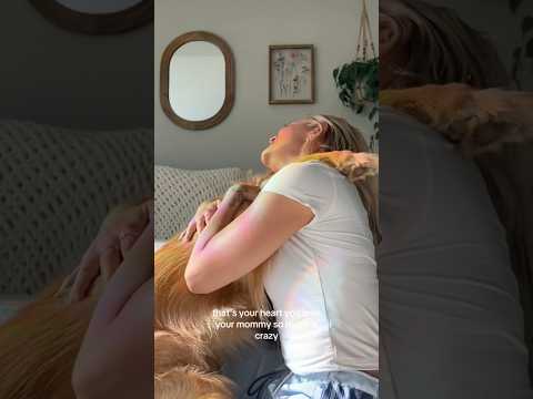 coming home to my golden retriever🥵goldenretreivers dog pup… サムネイル