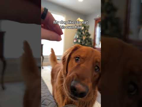 Is this normal? サムネイル