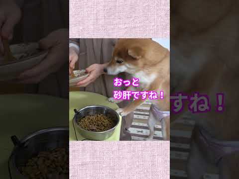 お母さんが準備してくれたら嬉しい 神戸 柴犬 shiba