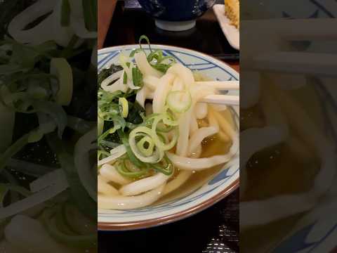 shorts デッカいズッキーニ天を丸齧り😋冷かけうどんとお稲荷さんと　丸亀製麺にて　2026年6月3日 サムネイル