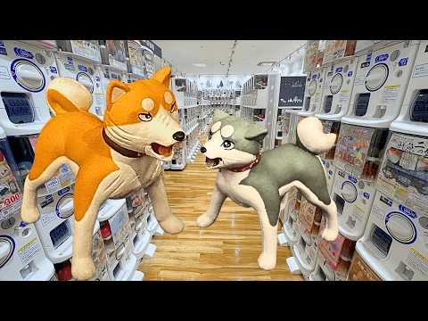 【ガチャ活】新作ガチャガチャ45連！久しぶりの店で泥沼・・・ サムネイル