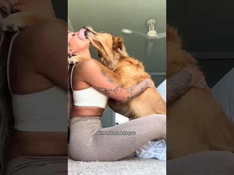 coming home to my golden retriever🥵 goldenretreiver dog ind… サムネイル