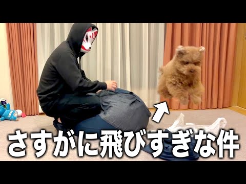 家で魅せる跳躍力じゃないだろw サムネイル