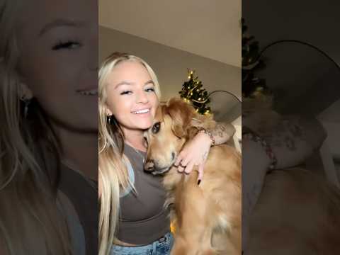 coming home to my golden retriever🥵 goldenretreiver dog ind… サムネイル