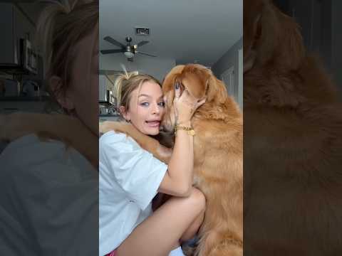 coming home to my golden retriever🥵 goldenretreiver dog ind… サムネイル
