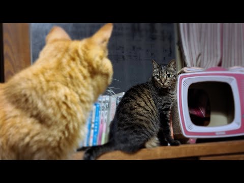 近くにいすぎて気づかない事もある　It's hard to see what's right under your n… サムネイル