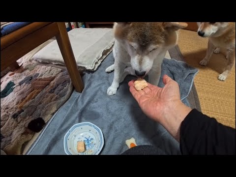 短くなったヒマラヤンハードチーズを押収して作るチーズスナック サムネイル