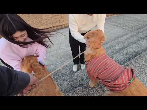 ビスとイロハが長田部海床道で出会った素敵な方たち。 サムネイル