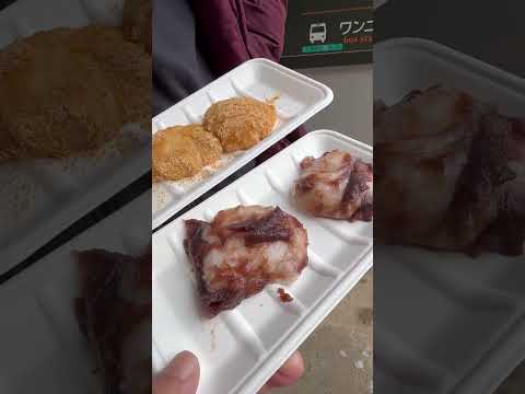 shorts お餅頂きました😋　那須どうぶつ王国にて　2026年1月2日 サムネイル