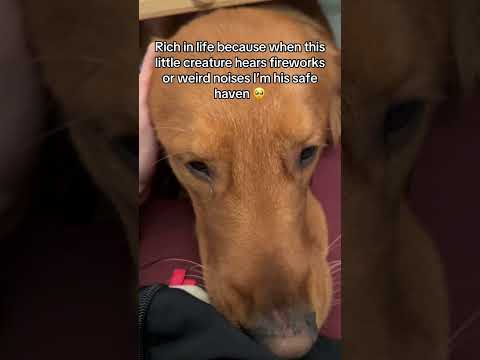 Best choice I’ve ever made 🥺 サムネイル