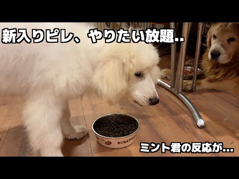 初ご飯で性格バレた。 サムネイル