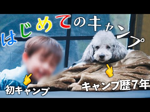 ２歳児のテンションについていけない９才トイプードルのキャンプが可愛すぎた🏕️【二世くんキャンプデビュー】 サムネイル