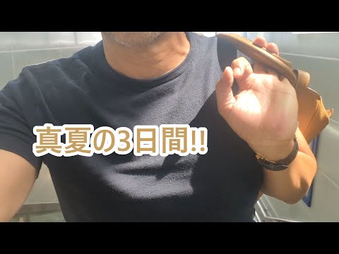 真夏の3日間。ゴールデンレトリバーティト サムネイル