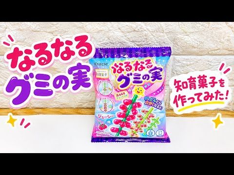 新発売！「なるなるグミの実」を作ってみた【知育菓子】