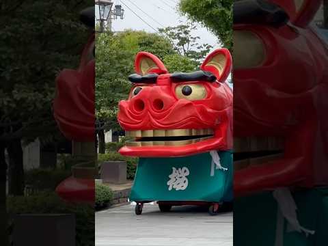 shorts 酒田大獅子　桜🌸　獅子パックン　酒田まつり サムネイル