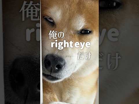 右目が摩擦100% サムネイル