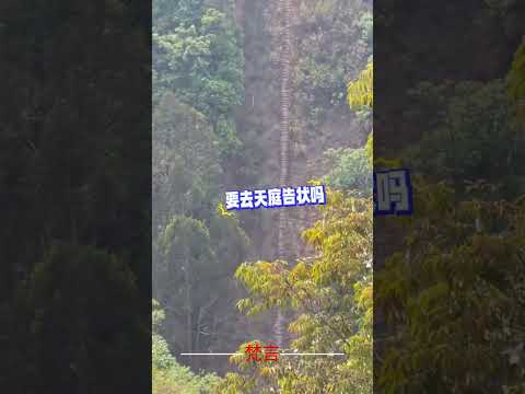 雲南省昆明市富民縣天馬山絕望坡 我以為能有多絕望原來真的是這麼的絕望 意外 神奇 萬萬沒想到 自然 amazing n… サムネイル