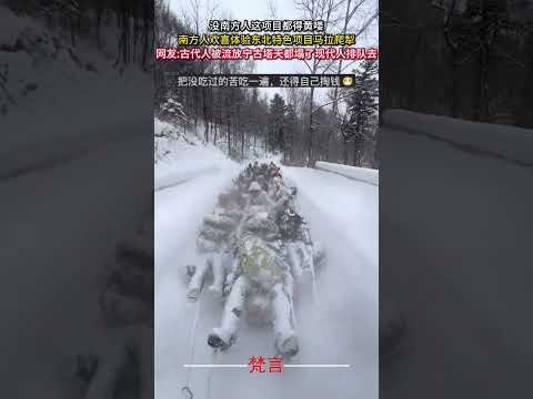沒南方人這項目都得黃嘍 南方人歡喜體驗東北特色項目馬拉爬犁 雪 意外 有趣 搞笑 amazing funny snow… サムネイル