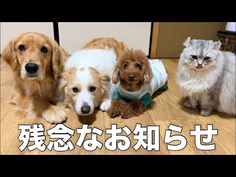 残念なお知らせがあります😭 サムネイル