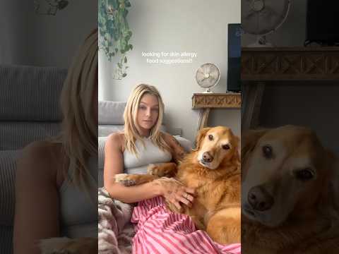 coming home to my golden retriever🥵 goldenretreiver dog ind…