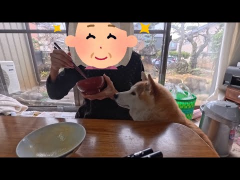 おかあさんといっしょ サムネイル