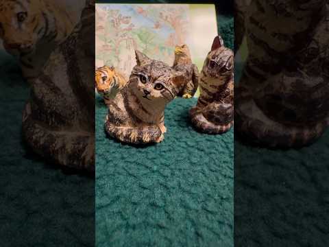 shorts 今回のマヌルモデルはレフくん☺️  那須どうぶつ王国オリジナルカプセルトイ「はしもとみおの彫刻2」　20…