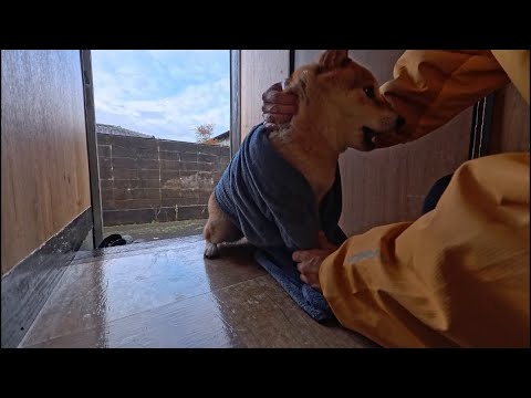 ウェルカム足拭きサービス サムネイル