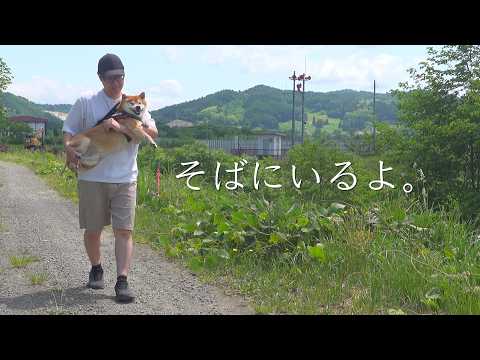 悲しい出来事のあと、柴犬が見せた姿に救われました。