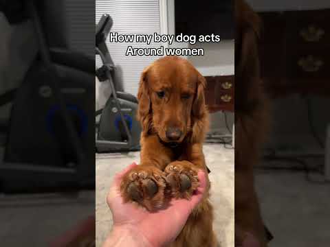 He’s a total ladies man 🐶 サムネイル