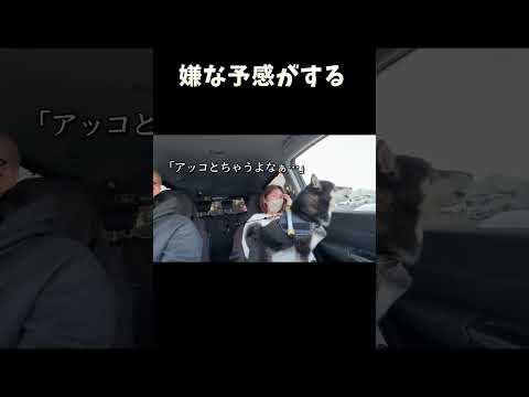 嫌な予感がする サムネイル