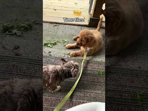 What do you miss? サムネイル