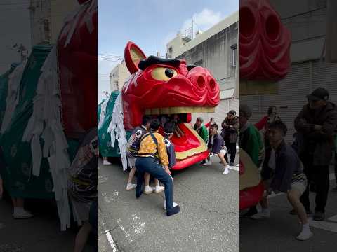 shorts 酒田大獅子　日和　獅子パックン　酒田まつり サムネイル