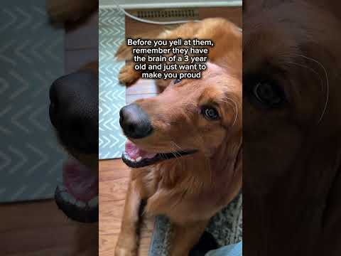 They’re just babies!!