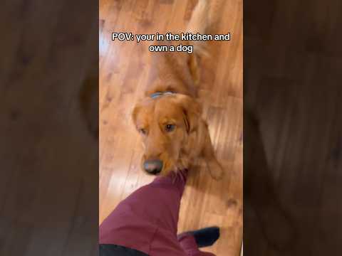 Does this happen to you? サムネイル