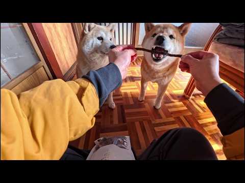 2026年4月28日(火) 細くて長いけど、ぶ厚くて食べごたえのある馬肉カット サムネイル